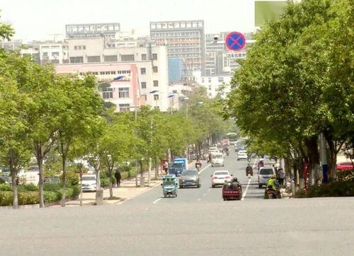 泗阳最新爆料,揭秘当地热点事件背后的真相 第3张 泗阳最新爆料,揭秘当地热点事件背后的真相 第3张